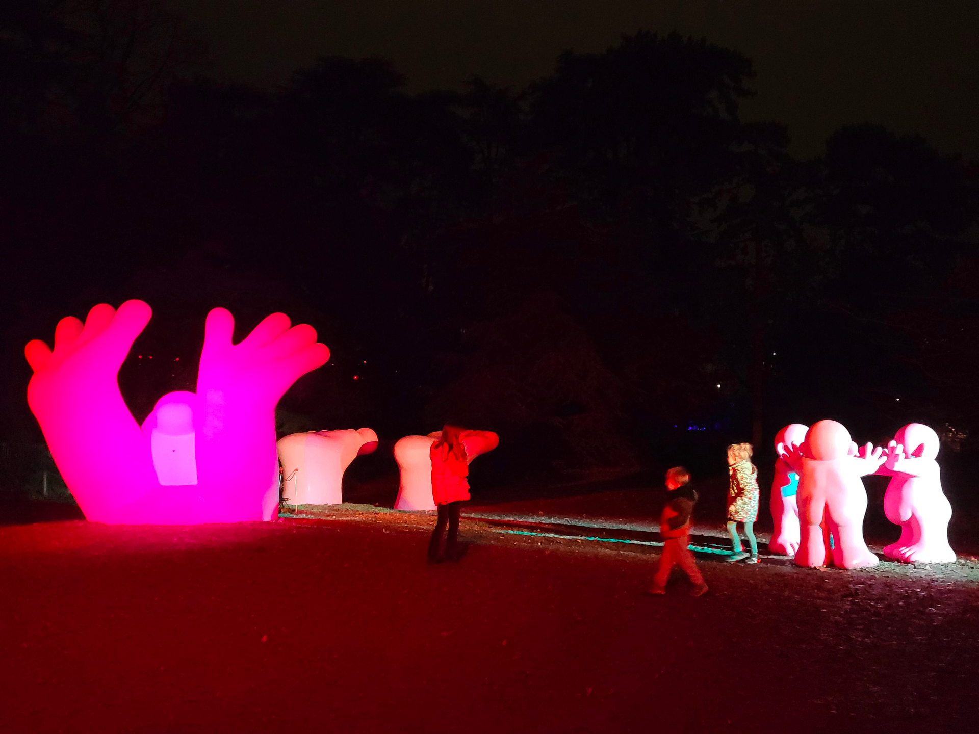 Sculptures lumineuses Rose Family illuminées la nuit